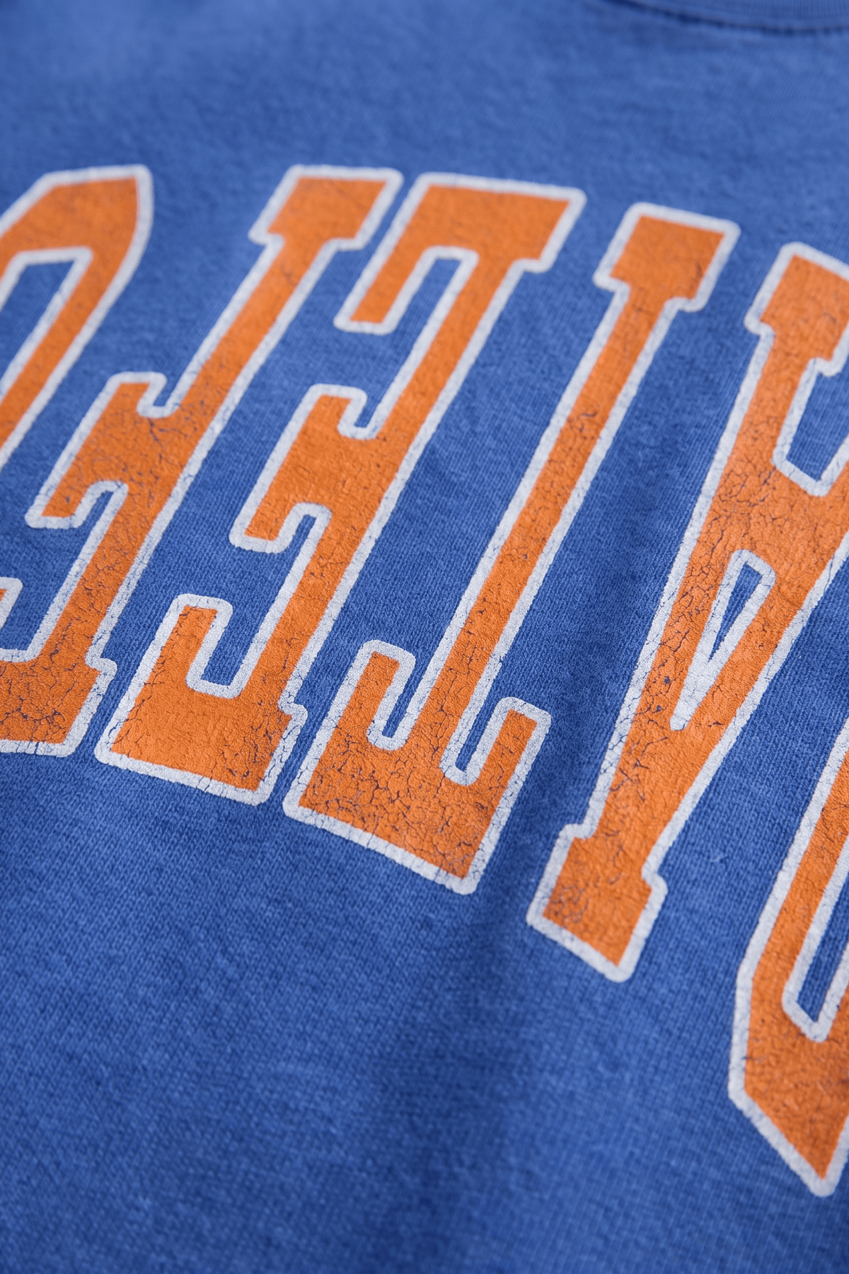 Grateful Reflect Tee - Royal