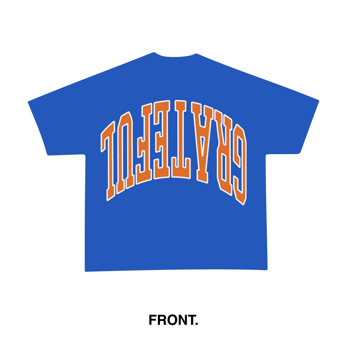 Grateful Reflect Tee - Royal