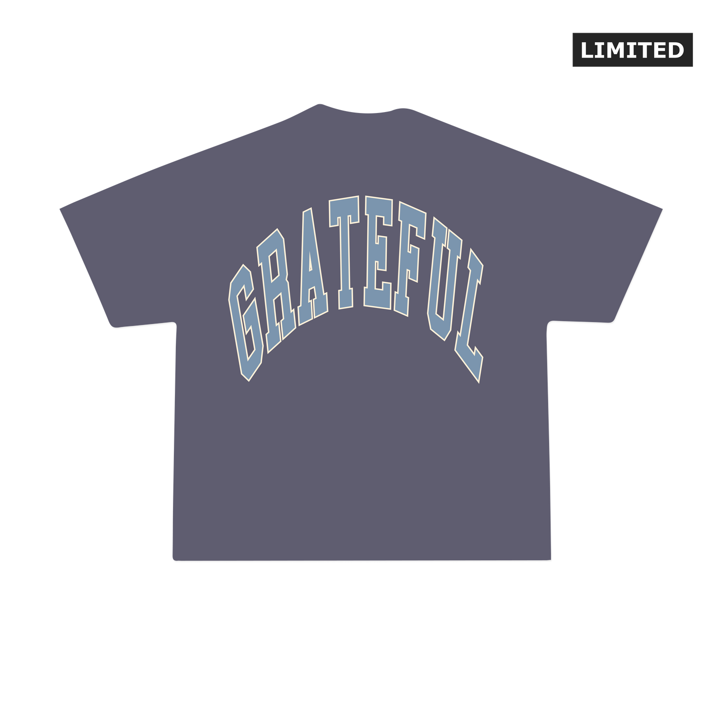Grateful Vintage Tee - Faded Navy
