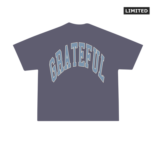 Grateful Vintage Tee - Faded Navy