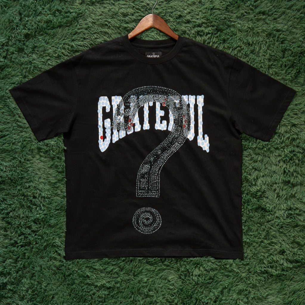 🎁 Premium Mystery Tee (100% off)